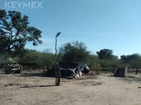 venta campo 100 hectáreas , apto producción ganadera, con mejoras