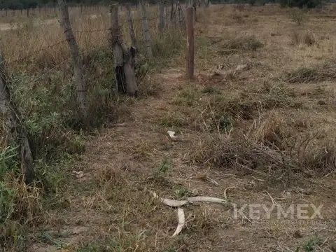 venta campo 100 hectáreas , apto producción ganadera, con mejoras