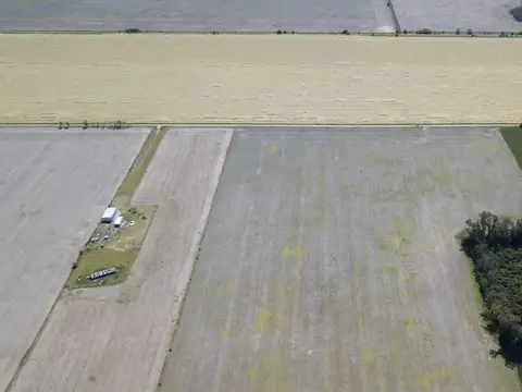 VENTA DE CAMPO 12 HA CONDOMINIO