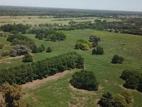 Terreno en Venta de 802,0 m2