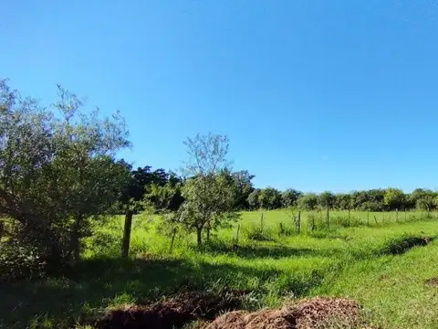 Terreno en Venta de 968,0 m2