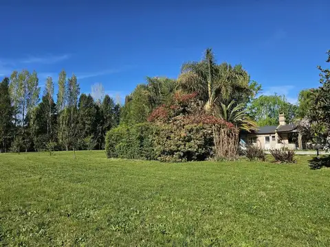 Campos de Roca 200