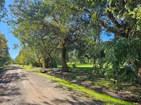 Terreno en Venta de 3636,0 m2