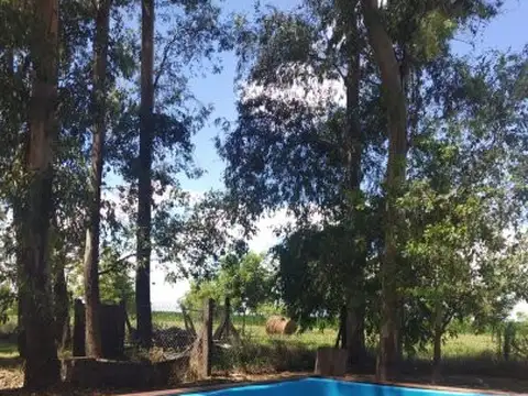 CAMPO TIMBO