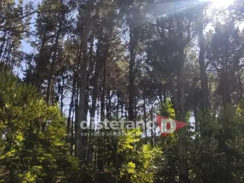 Cul de Sac Fragata Libertad 100