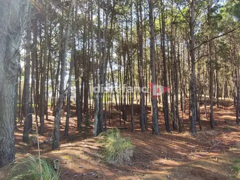 Terreno en Venta de 1714,0 m2