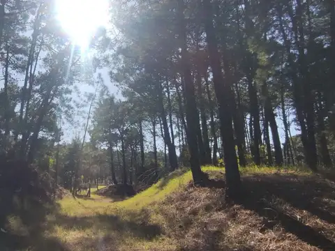 Terreno en Venta de 1714,0 m2