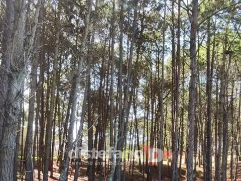 Terreno en Venta en Pinamar, USD 170.000