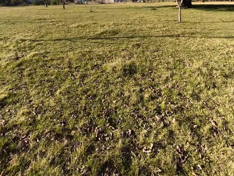 Chacra en Gualeguaychu