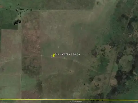 VENTA - Campo de 244 Hectáreas en Cañuelas, Ideal para Ganadería y Agricultura