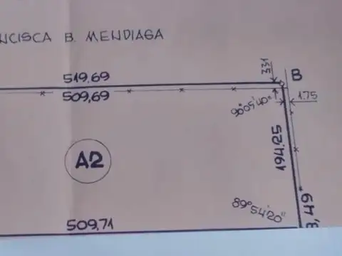 VENTA 10 HECTAREAS EN ROLDAN. CAMPO