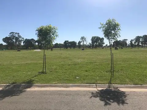 Terreno en Venta de 505,0 m2