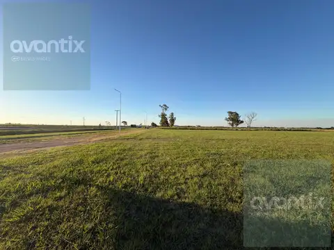 Una hectárea a la venta en Sunchales - USD 110.000