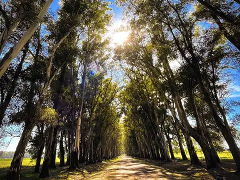 Bernardino Rivadavia km14.5