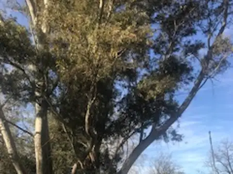 Terreno en Venta en Loma Verde, USD 75.000