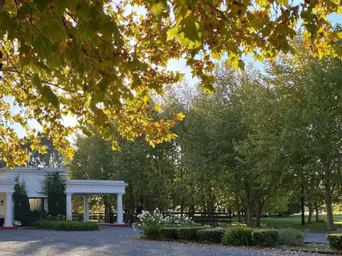 Capilla del Señor