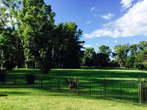 haras san pablo