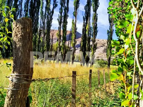 Terreno en Venta en Chos Malal, USD 118.000