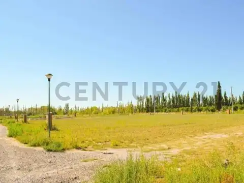 Terreno en Venta 23,79  mts Frente