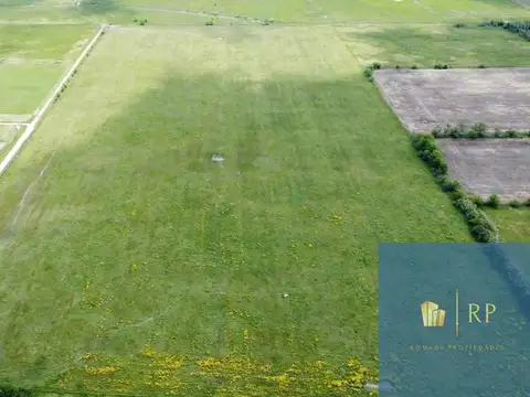 OPORTUNIDAD! Campo en Navarro de 16,87 hectáreas 
