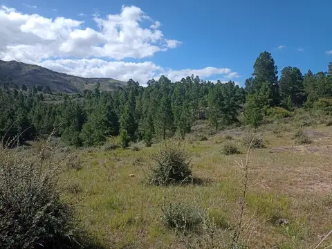 Terreno en Venta en La Cumbrecita, USD 300.000