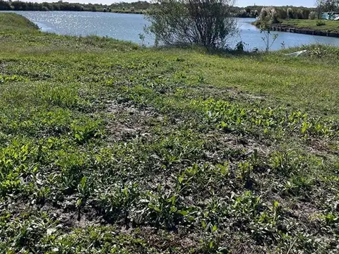 Terreno en Venta en Countries y Barrios Cerrados en Berazategui, USD 120.000