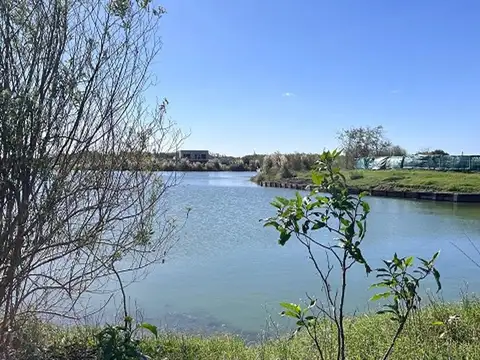 Terreno en Venta de 1032,0 m2