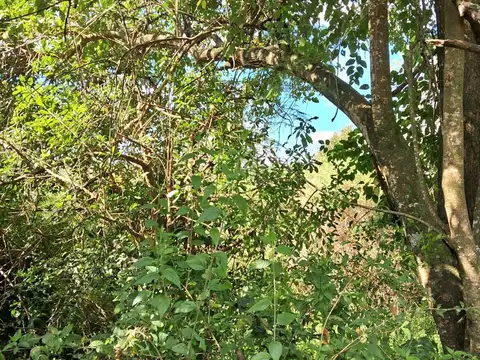 Terreno en Venta de 16132,0 m2