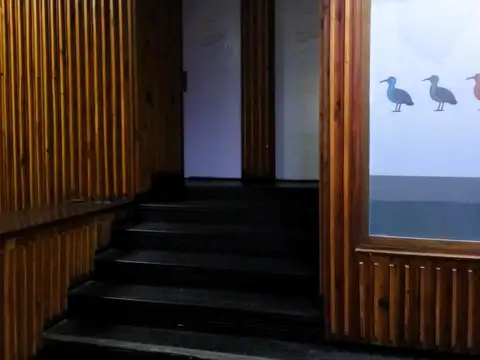 Entre Piso Galería Austral