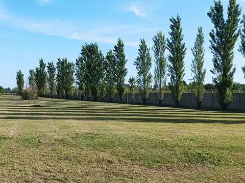 Avenida del Límite al 6600