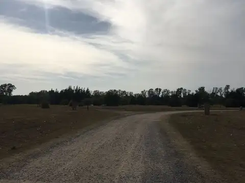 Terreno en Venta de 1100,0 m2