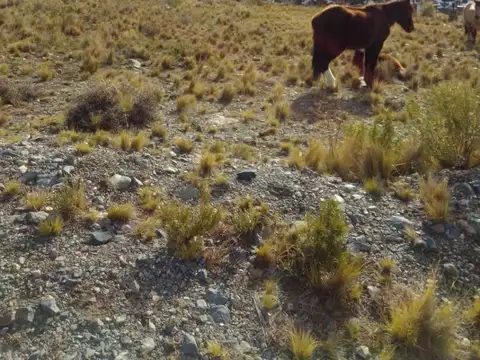 LOTE CON PROY. CABAÑAS APROB. PIEDRAS BLANCAS, POTRERILLOS