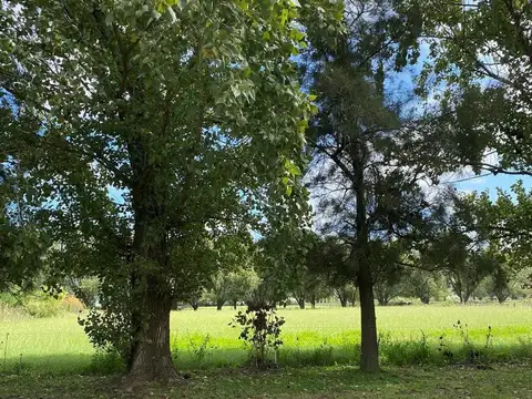 Terreno Lote  en Venta en Haras el Malacate, Exaltación de l