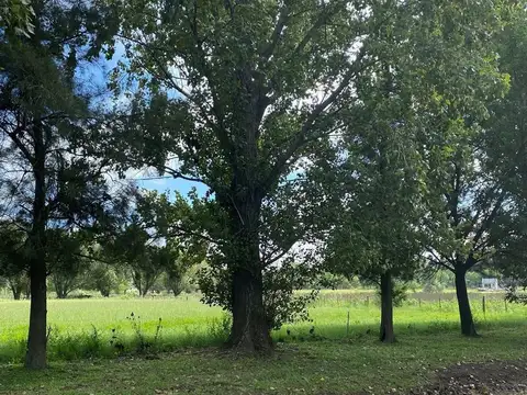 Haras El Malacate Lote 88