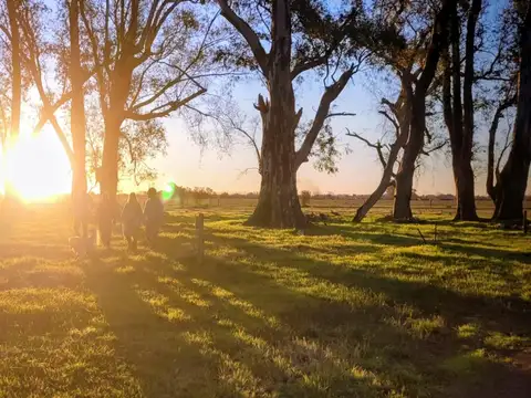 Terreno en Venta de 5000,0 m2