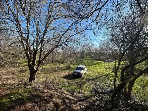 Terreno en Venta en Andino, Iriondo