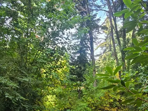 Terreno en Venta, FOT 15