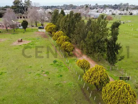 Campo en Venta en Villa Elisa, Partido de La Plata