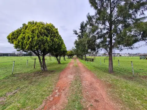 VENTA DE FRACCION 8 HECTAREAS. VILLA ELISA.