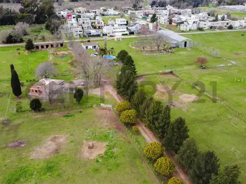 VENTA DE FRACCION 8 HECTAREAS. VILLA ELISA.
