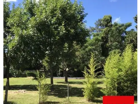 TERRENOS/FRACCIONES/LOTEOS - TERRENOS - SAN VICENTE, GRAN BS. AS. SUR