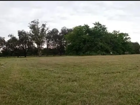 Excelente Lote En Barrio La