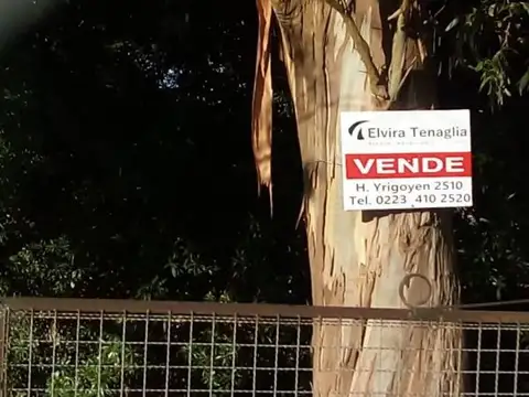 Terreno en Venta en Mar del Plata, USD 24.500