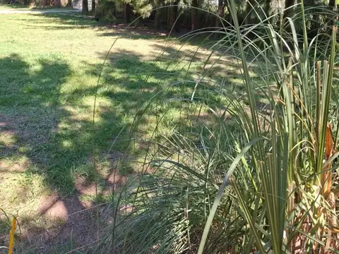 Terreno - Venta - Argentina, DOMSELAAR