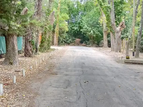 28 e/442 y calle cortada