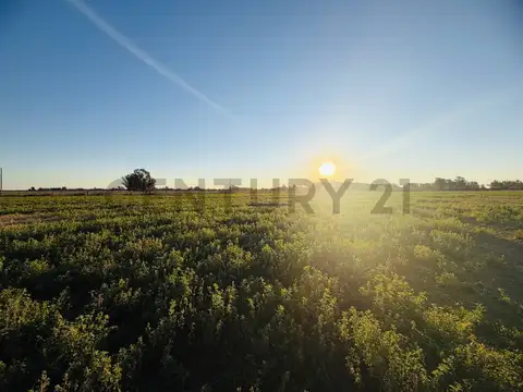 San Martin y Aldao , Piso 0