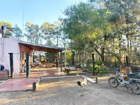 CAMPO EN VENTA | 32,5 HECTÁREAS PRODUCTIVAS EN MELINCUÉ