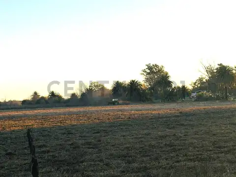 CAMPO EN VENTA | 32,5 HECTÁREAS PRODUCTIVAS EN MELINCUÉ