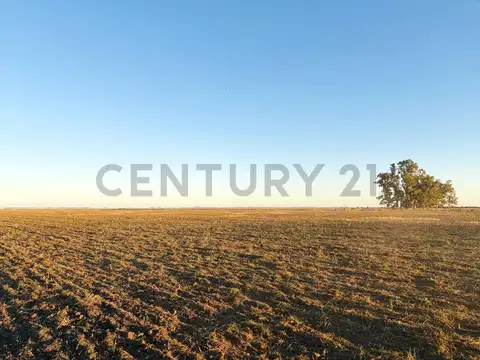 San Martin y Aldao , Piso 0