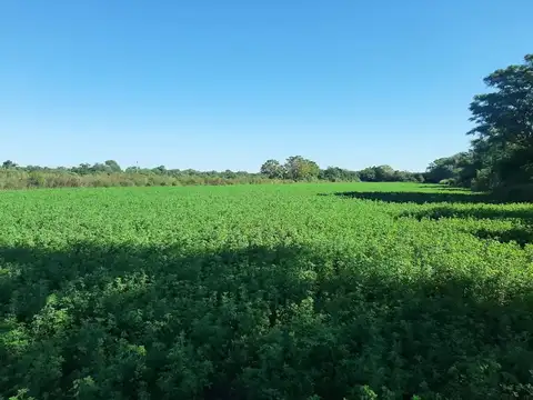 Camino al tramo 22